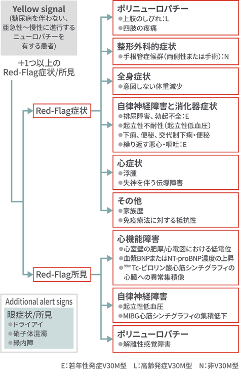 遺伝性ATTRアミロイドーシス(FAP)を疑うためのRed-Flag症状/所見(日本版)