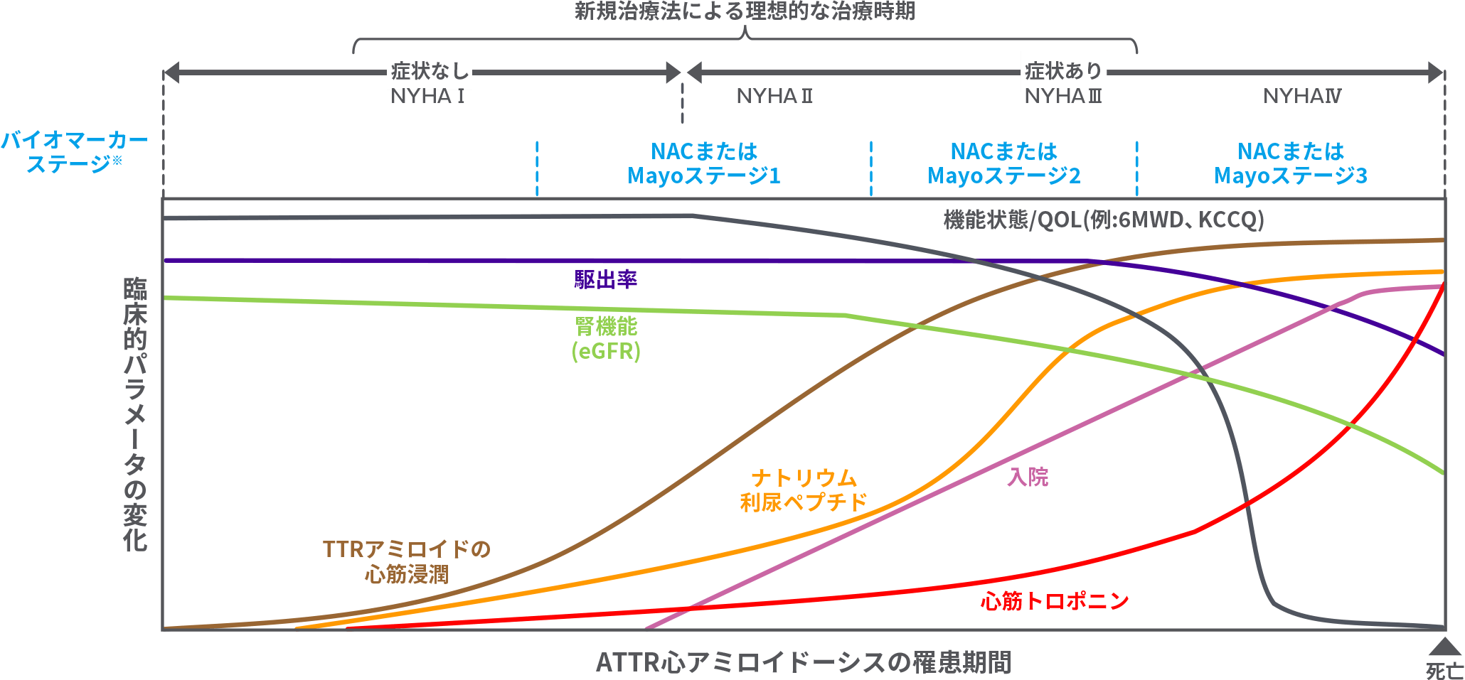ATTR心アミロイドーシスの経時的進行に伴う臨床パラメータの推移
