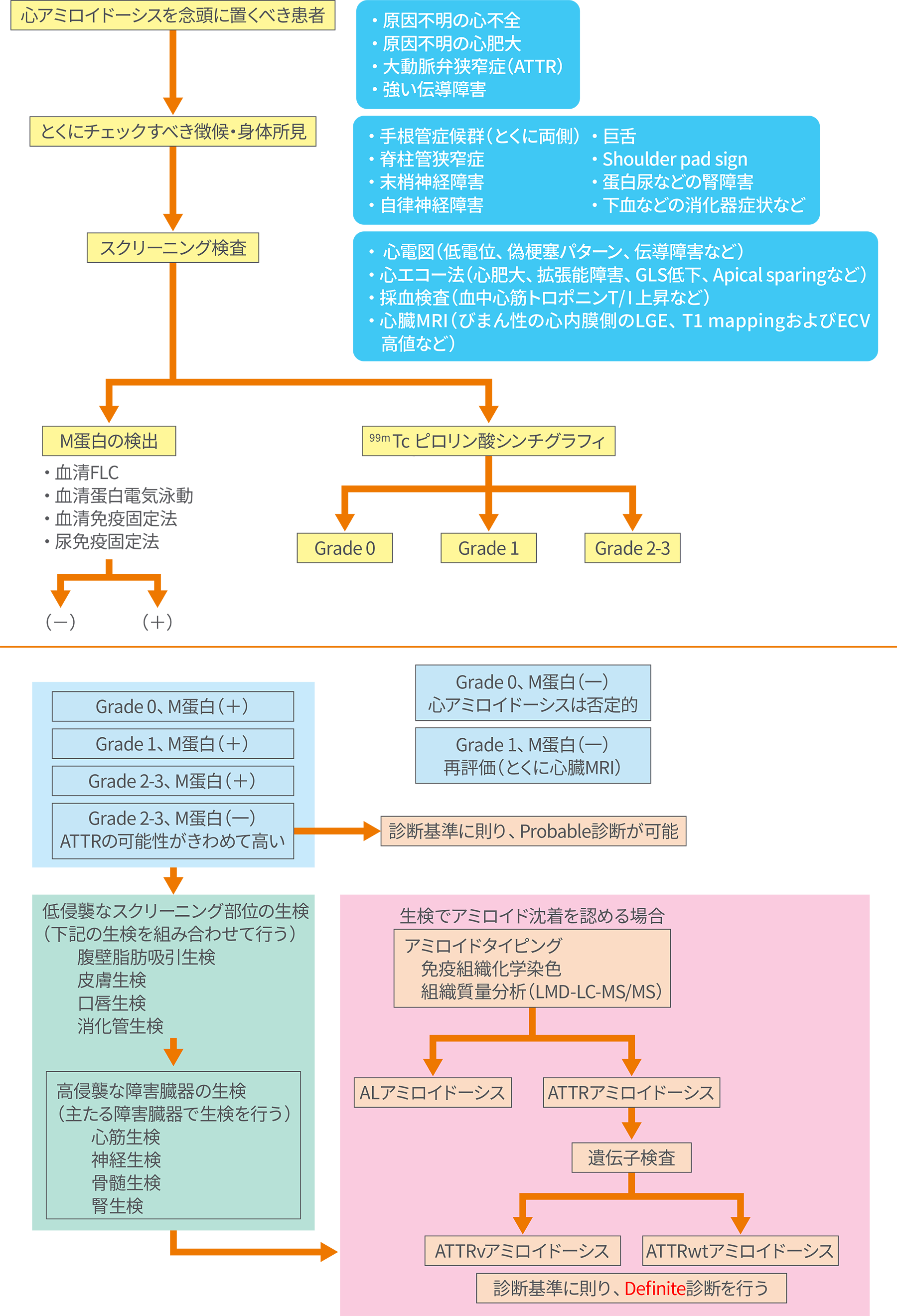 心アミロイドーシス診療アルゴリズム