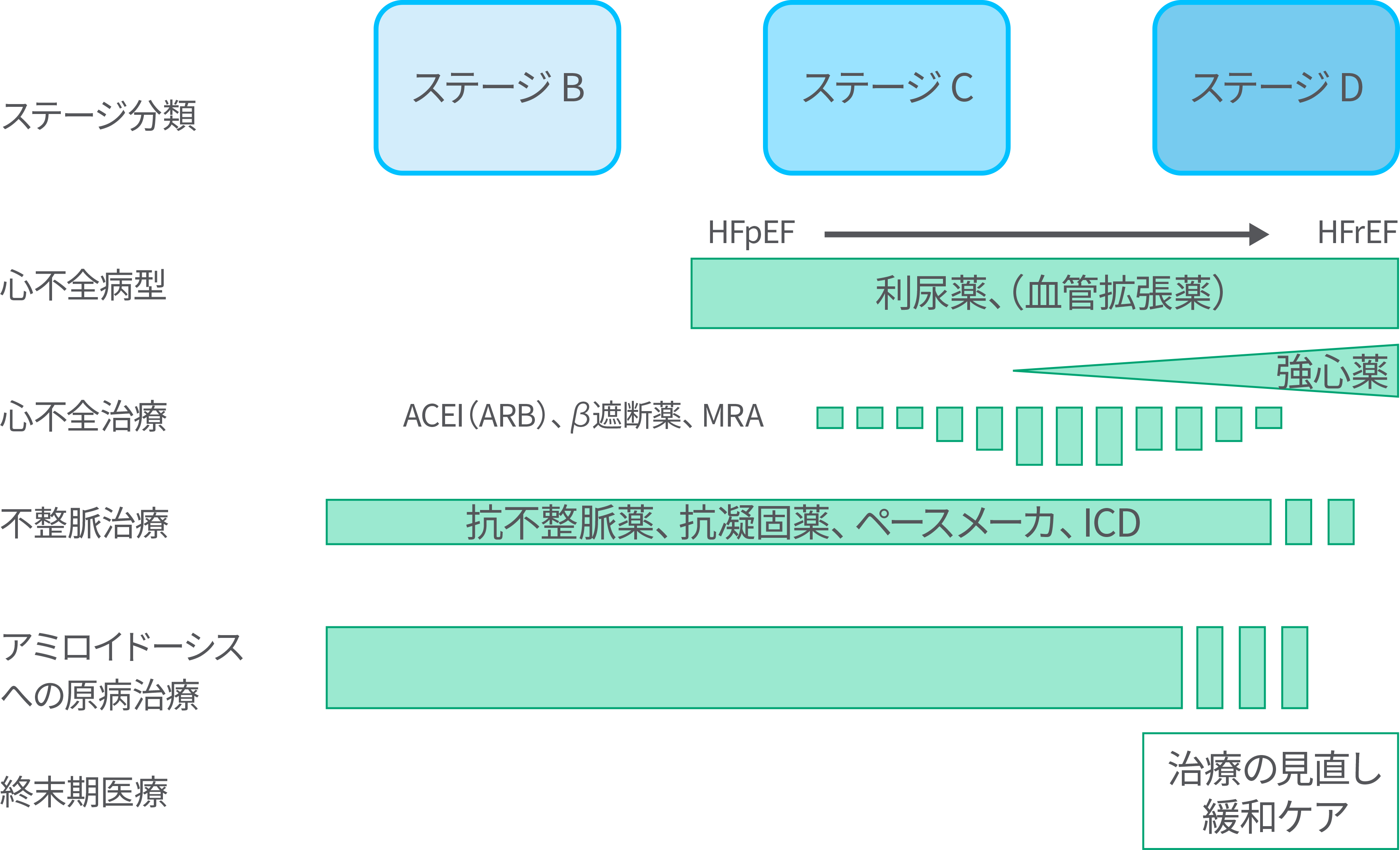 心不全ステージ分類に基づく心アミロイドーシス治療の全体像